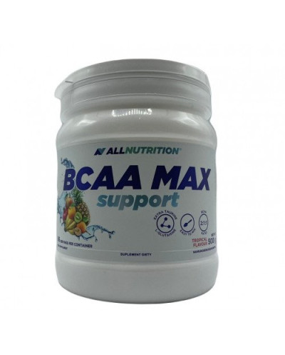 BCAA Max Support - 500...