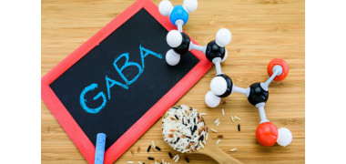 Какво е GABA? Защо тази добавка е свързана с по-добър сън.
